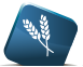 Dry Goods